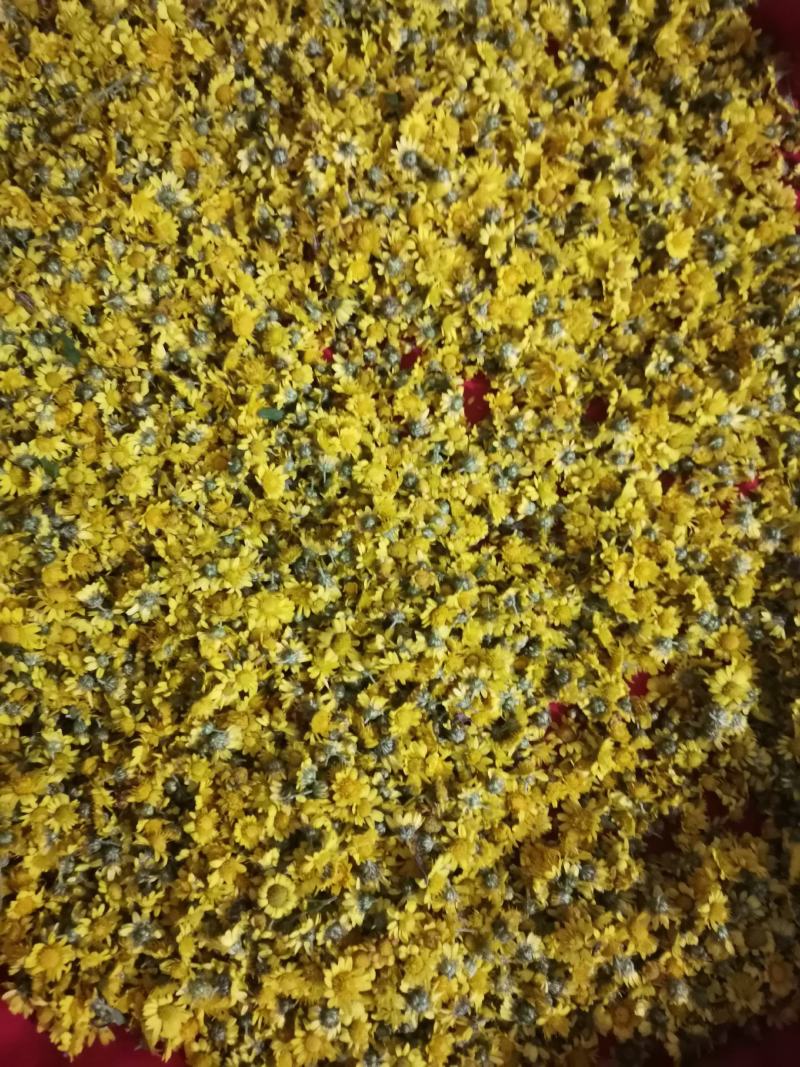 野菊花质量优良，欢迎新朋友来到，不是栽种的。