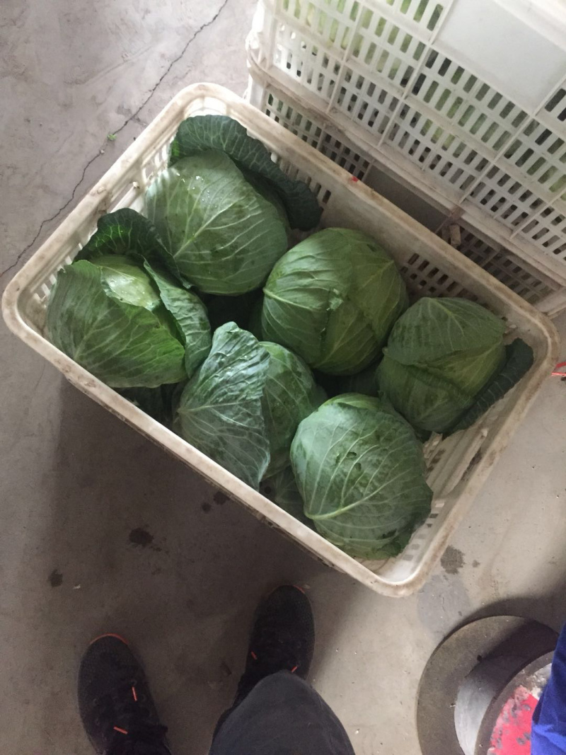 江苏好铁头包大量上市代发全国各大市场，商超