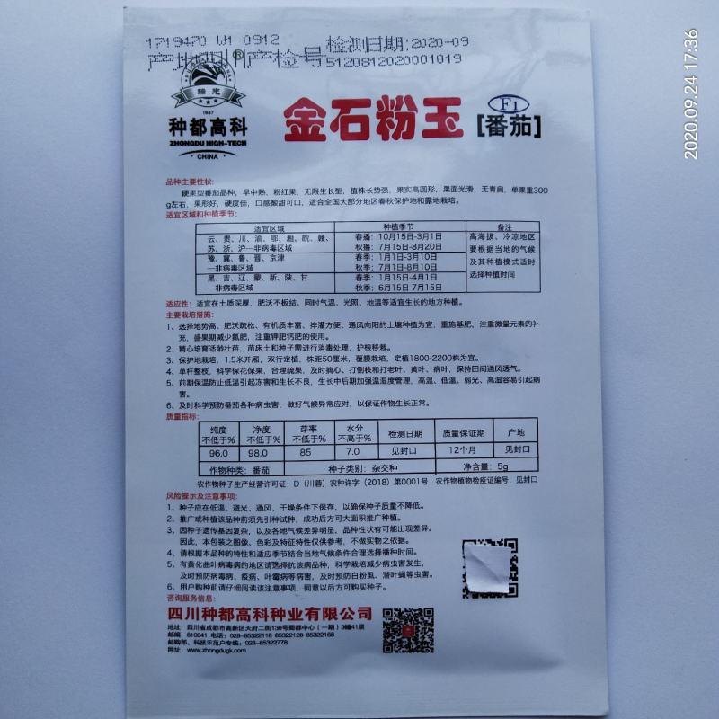 西红柿种子粉果耐运输一代杂交品种种早熟种子