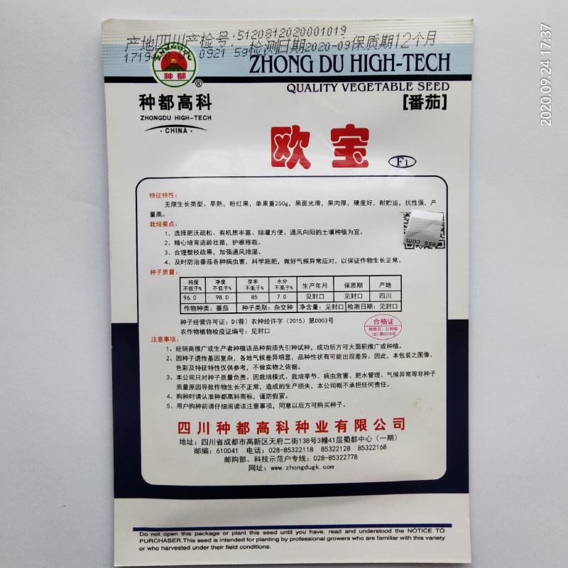 西红柿种子粉果耐运输一代杂交品种种早熟种子