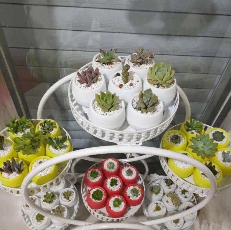 厂家石丸盆多肉绿植花卉花盆懒人特花盆树脂塑料花盆批发室内