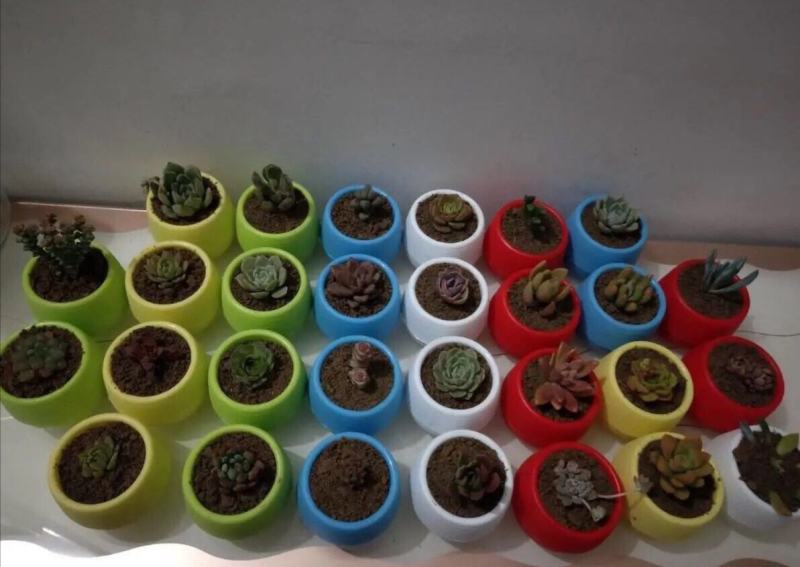 厂家石丸盆多肉绿植花卉花盆懒人特花盆树脂塑料花盆批发室内