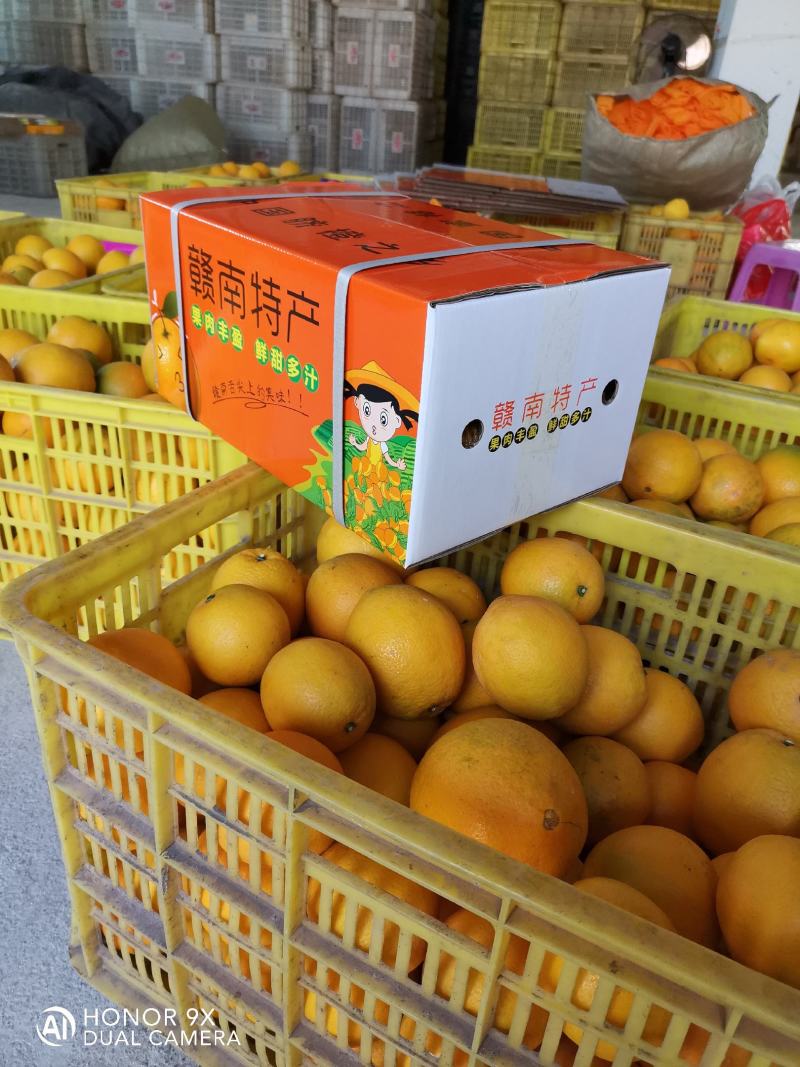 欢迎致电发货(邀电商)江西《赣南脐橙》十斤包邮