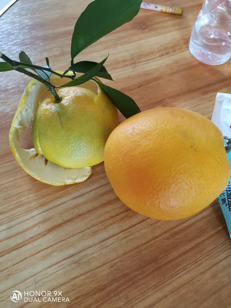 欢迎致电发货(邀电商)江西《赣南脐橙》十斤包邮