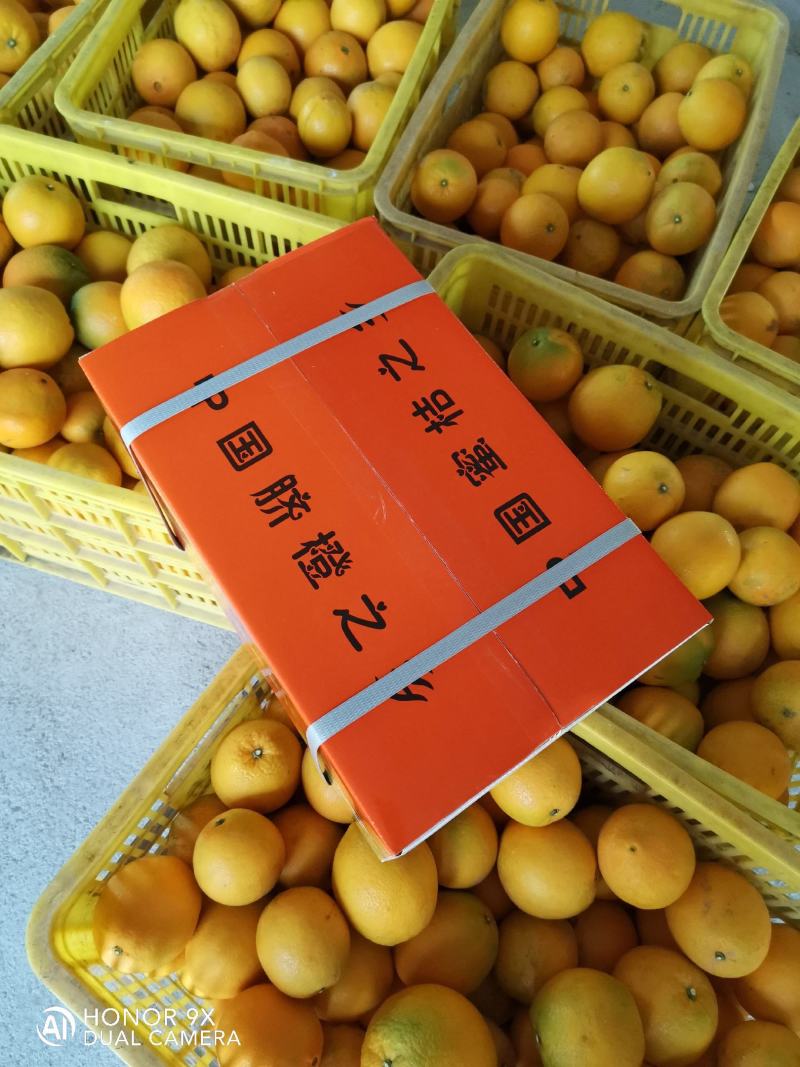 欢迎致电发货(邀电商)江西《赣南脐橙》十斤包邮