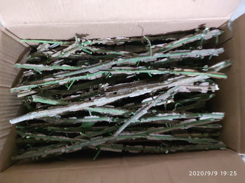鬼箭羽大片手掰货统货过电筛新鲜枝条各种规格产地大量批发