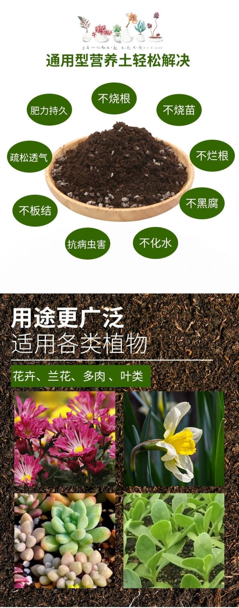 园艺家用花卉营养土育苗基质进口泥炭配制大量有货