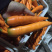 胡萝卜🥕代发全国各大市场商超优质胡萝卜欢迎来电