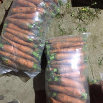胡萝卜🥕全国各大市场商超优质胡萝卜欢迎来电