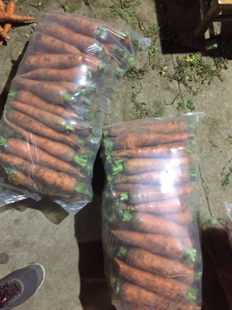 胡萝卜🥕代发全国各大市场商超优质胡萝卜欢迎来电