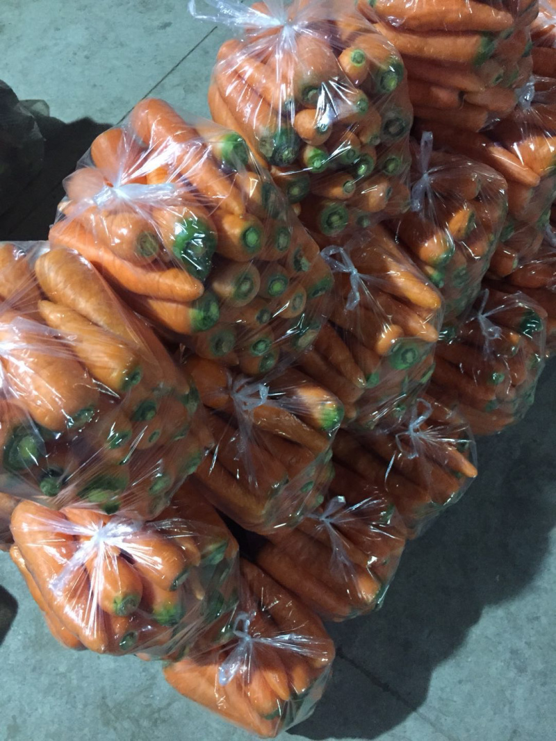 胡萝卜🥕代发全国各大市场商超优质胡萝卜欢迎来电