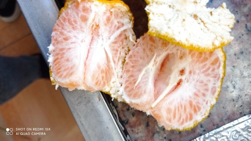 正宗长泰岩溪芦柑又名椪柑
