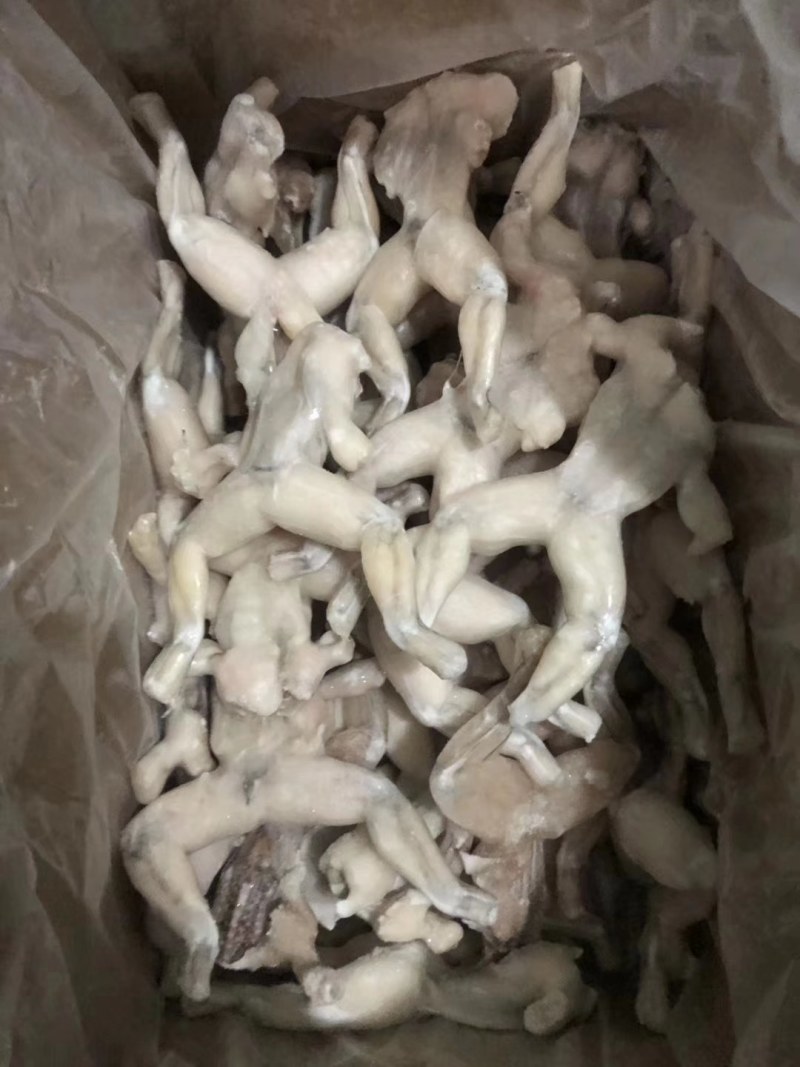 蒙西娜三去牛蛙十斤装