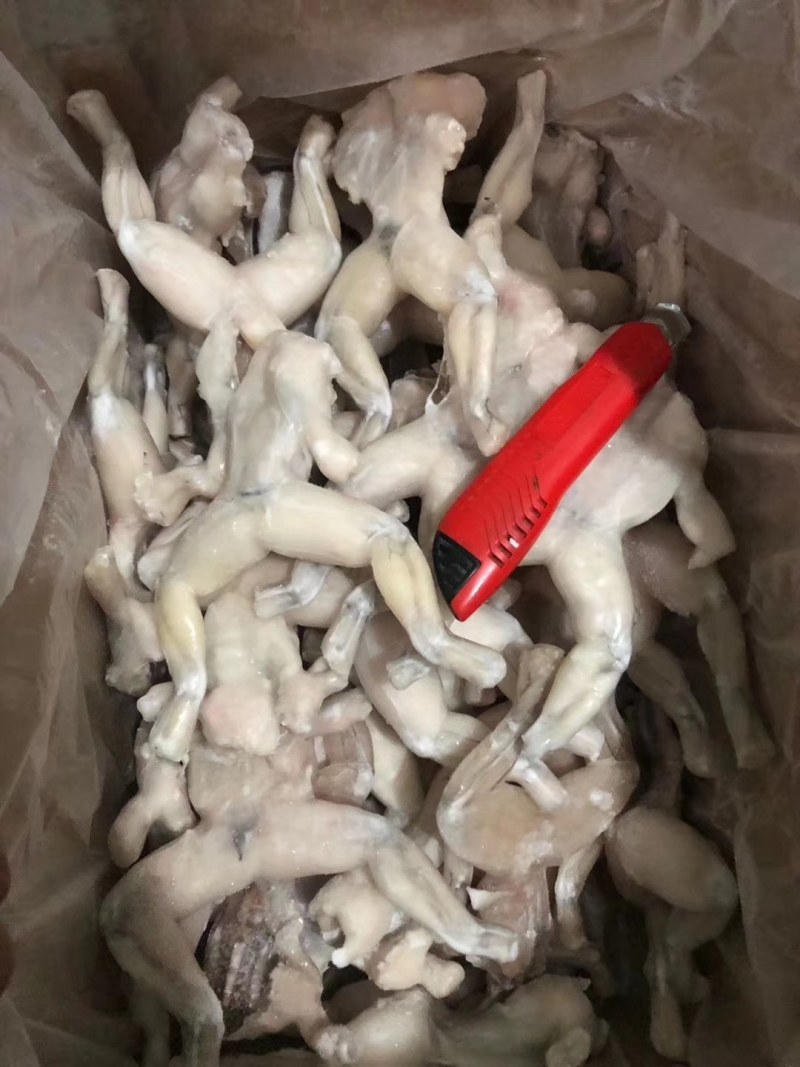 蒙西娜三去牛蛙十斤装