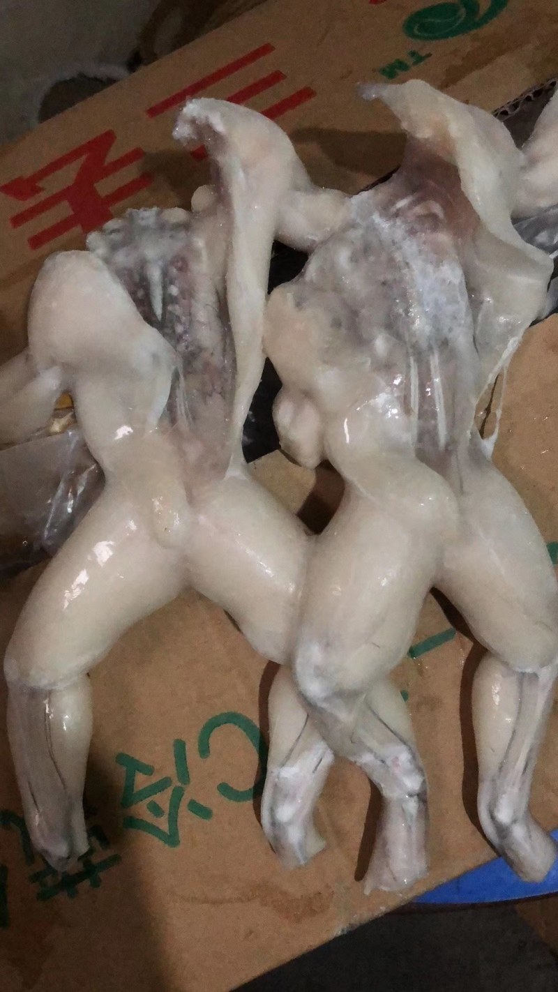 蒙西娜三去牛蛙十斤装