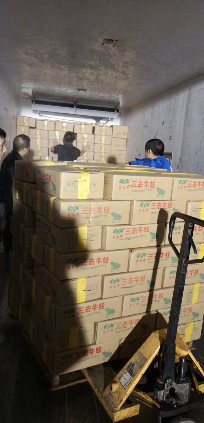 蒙西娜三去牛蛙十斤装