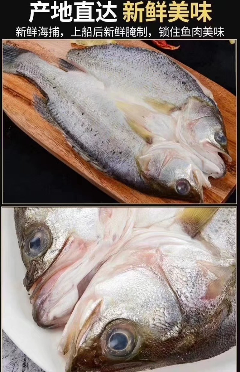 开背海鲈鱼（规格表请看下图）