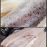 开背海鲈鱼（规格表请看下图）
