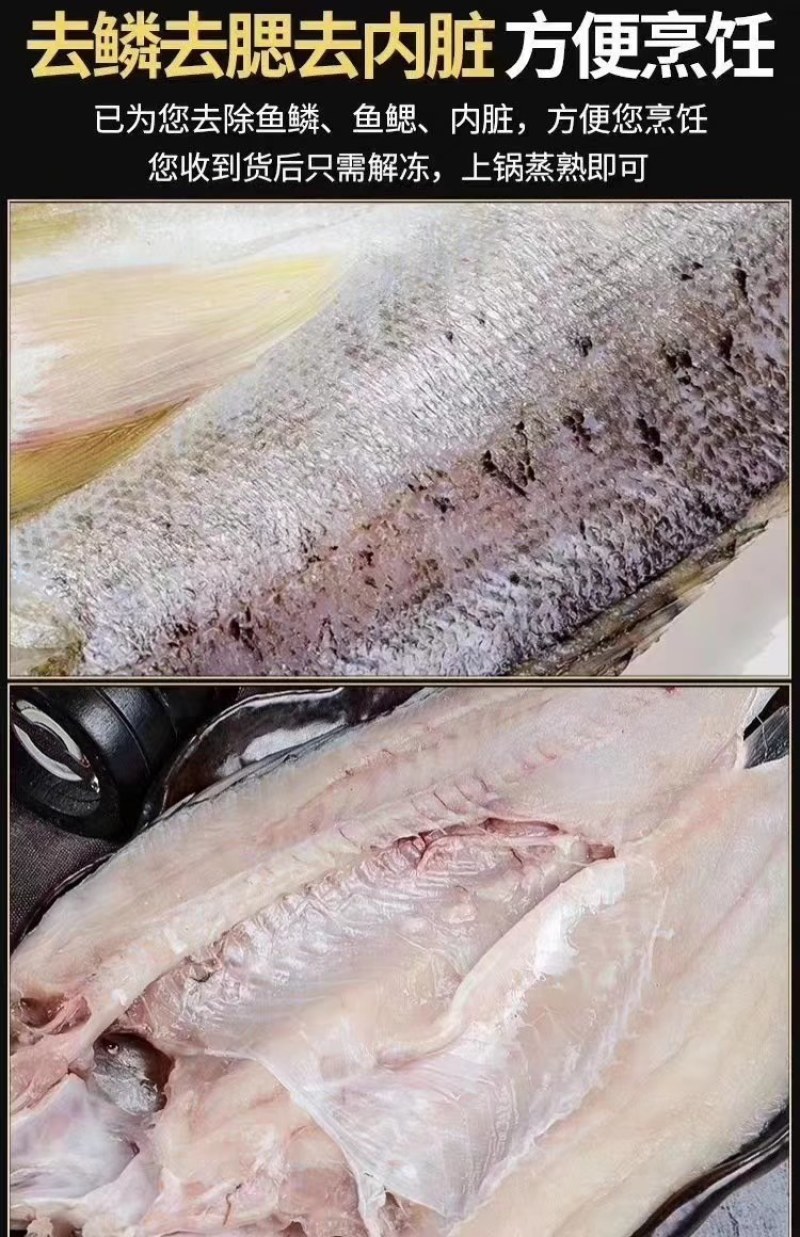 开背海鲈鱼（规格表请看下图）
