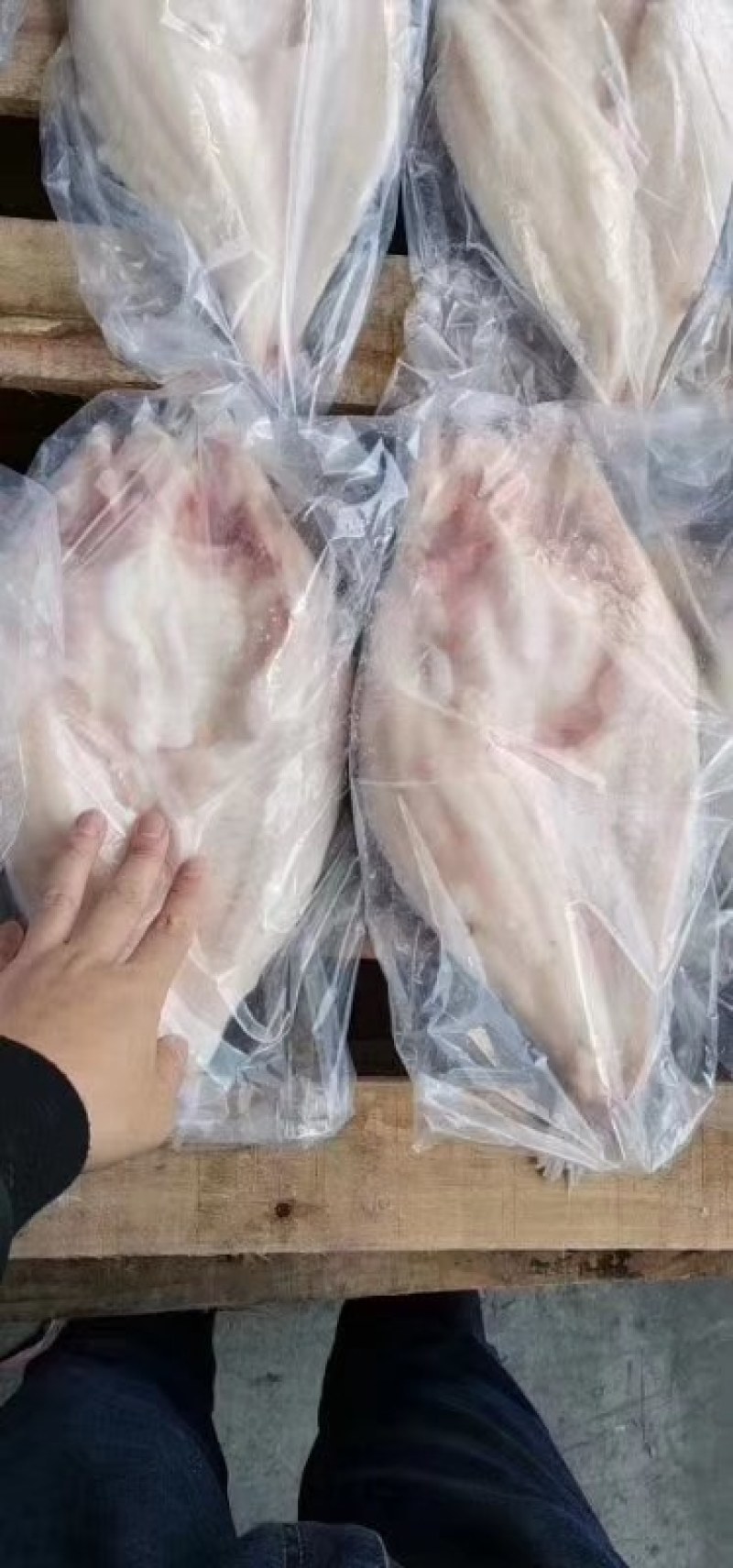 开背巴沙鱼（越南货）