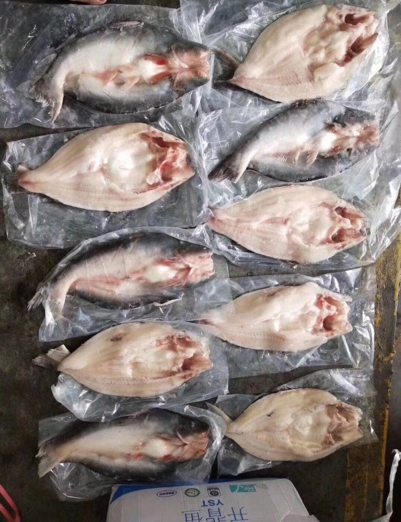 开背巴沙鱼（越南货）