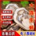 【热销】精品辽宁大连海鲜礼盒，花甲生蚝扇贝等常年供货