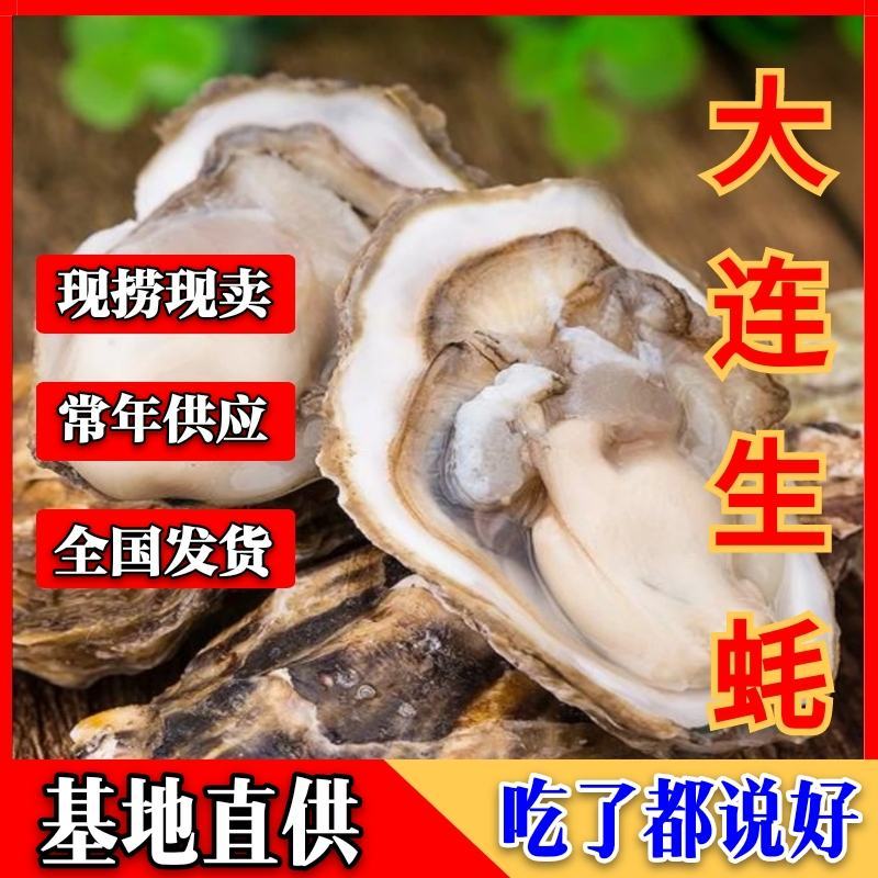 【热销】精品辽宁大连海鲜礼盒，花甲生蚝扇贝等常年供货