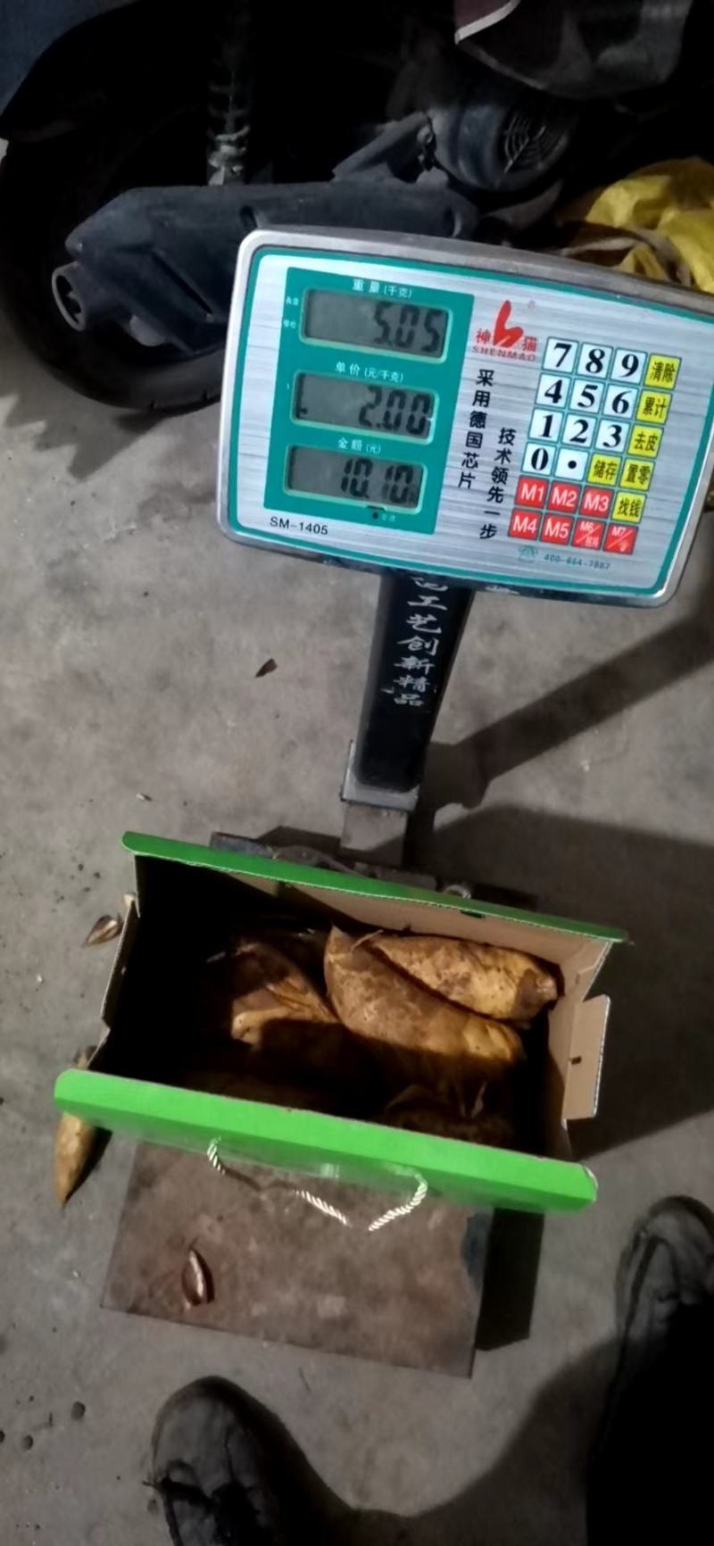 年年农产品冬笋直供基地一手货源质量保证诚信第一
