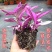 油画婚礼吊兰锦盆栽办公室绿植肉肉垂吊多肉植物圆叶荷兰进口