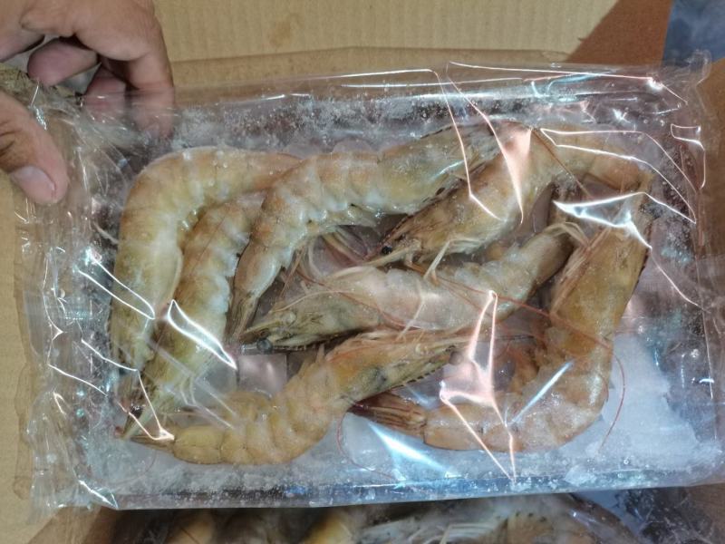 盐田虾海水虾经济实惠价格不贵，吃好回头客高