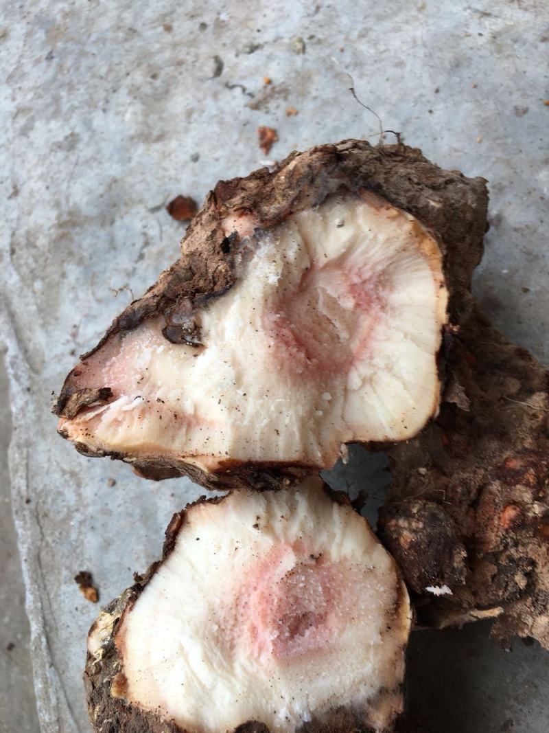 四川云南红白肉野生变色龙土茯苓大量批发统货每一吨含小货少