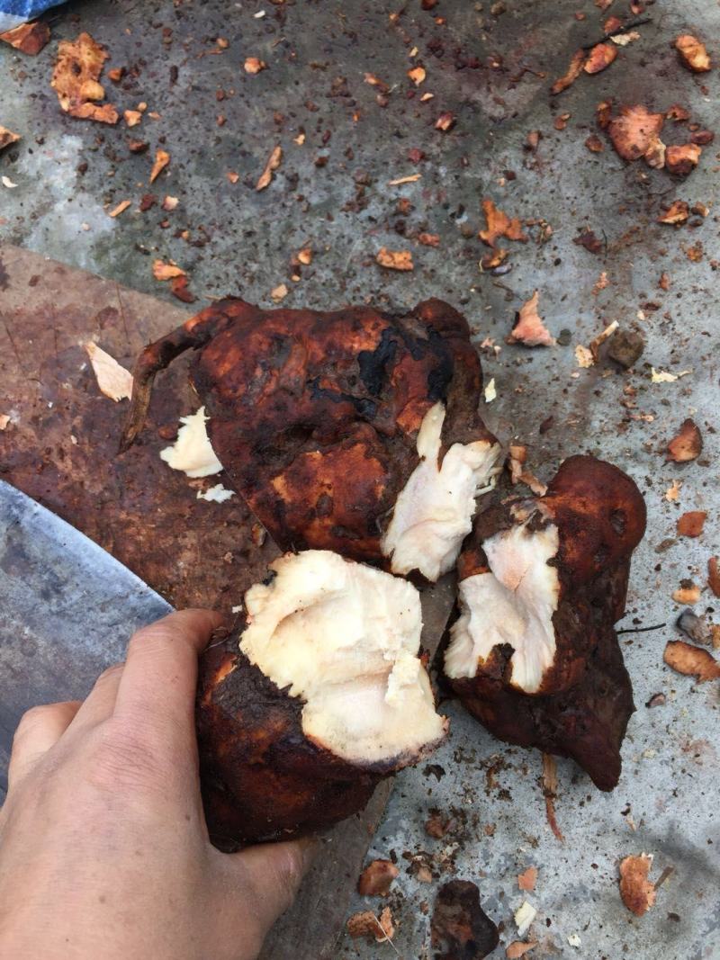 四川云南红白肉野生变色龙土茯苓大量批发统货每一吨含小货少