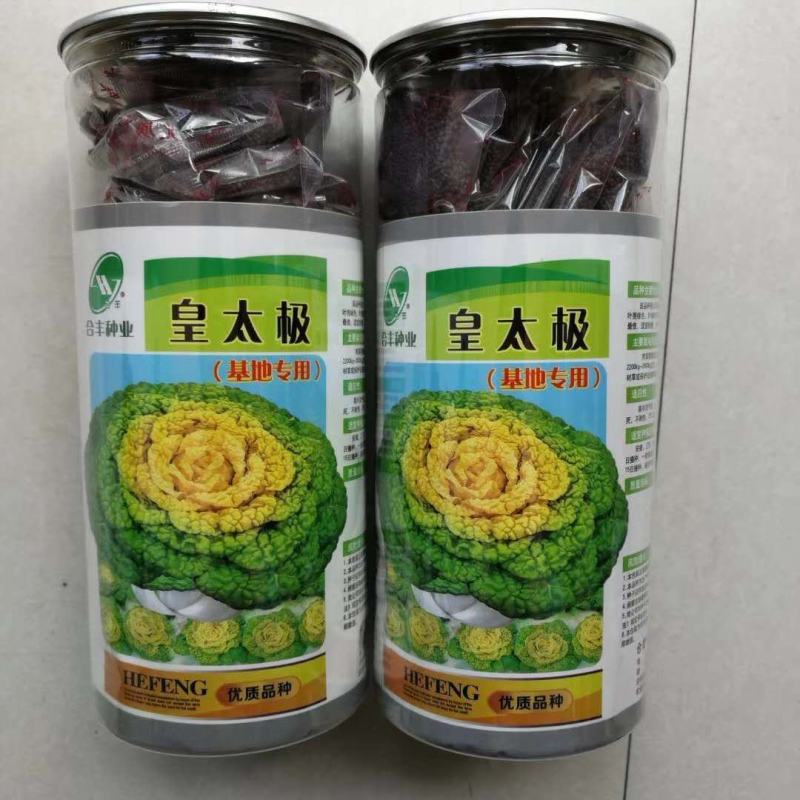 黄心乌菜种子矮脚棵耐寒能力强越冬蔬菜种子品种