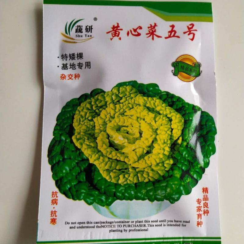 黄心乌菜种子矮脚棵耐寒能力强越冬蔬菜种子品种