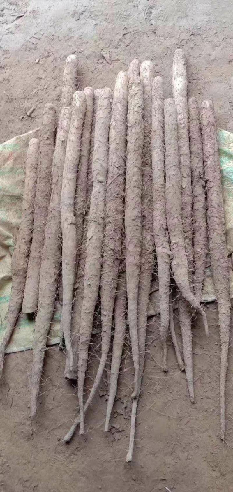 棒药，紫药，小白嘴，产地直发，口感面甜诚信经营，发往全国
