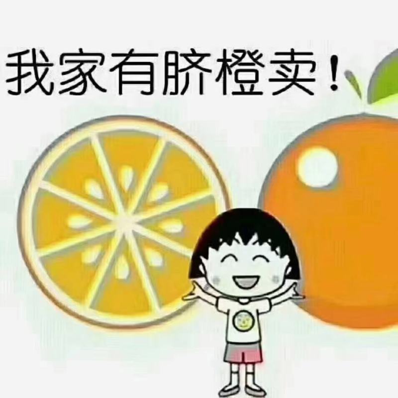 正宗江西赣南脐橙皮薄肉赣南产地直供新鲜现摘大量批发整车发