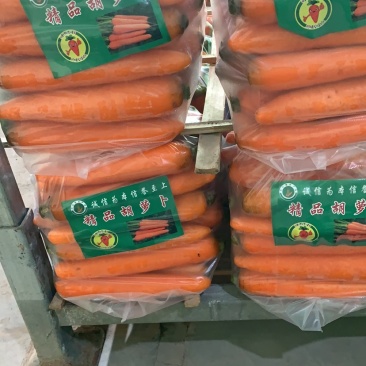 三红胡萝卜大量上市，水洗，土萝卜，次品，各种规格都有。