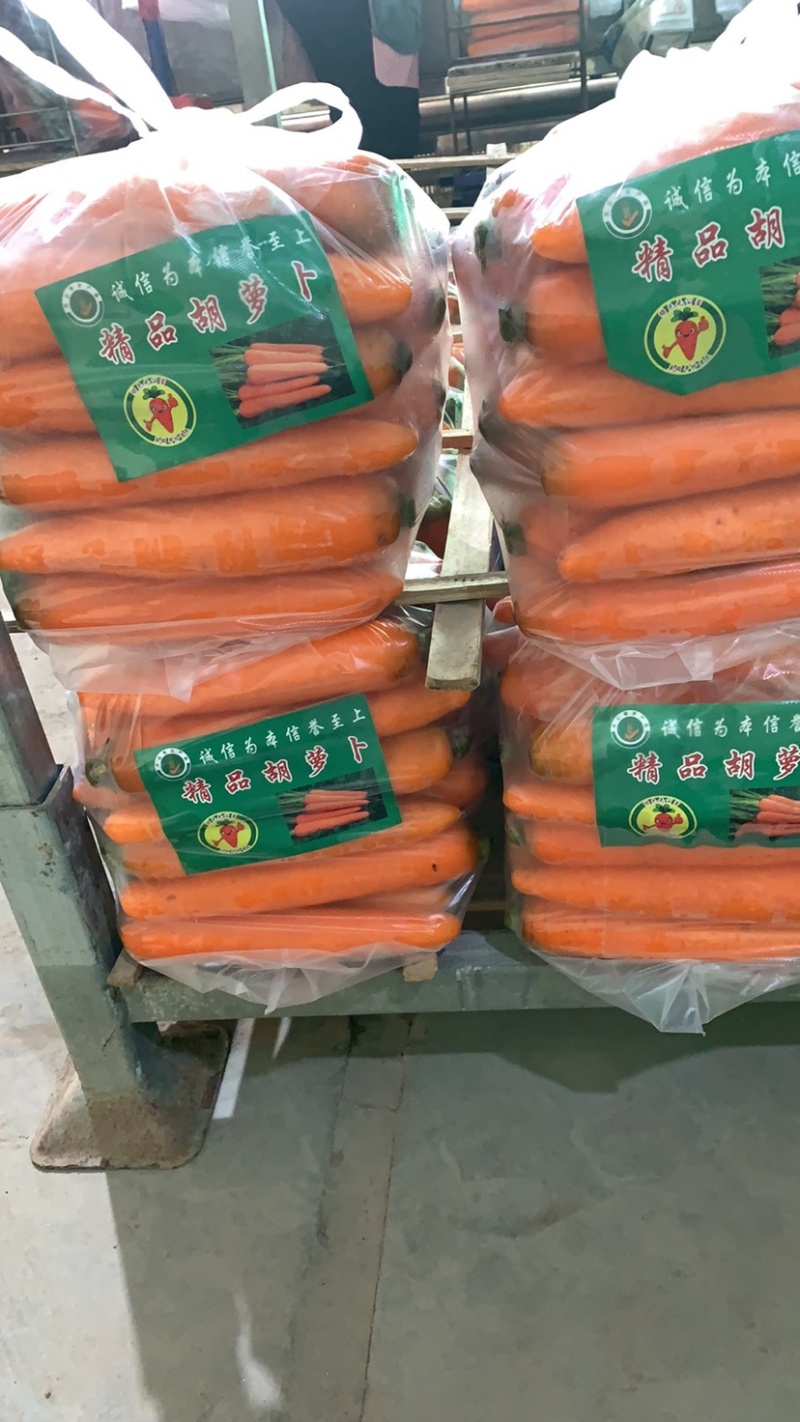 三红胡萝卜大量上市，水洗，土萝卜，次品，各种规格都有。