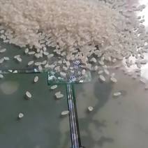 龙江代办大豆玉米水稻大米