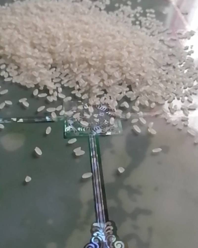 龙江代办大豆玉米水稻大米
