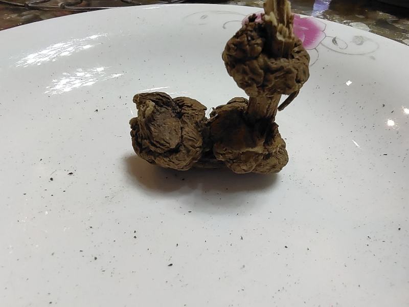 云南省大理州藳本干货