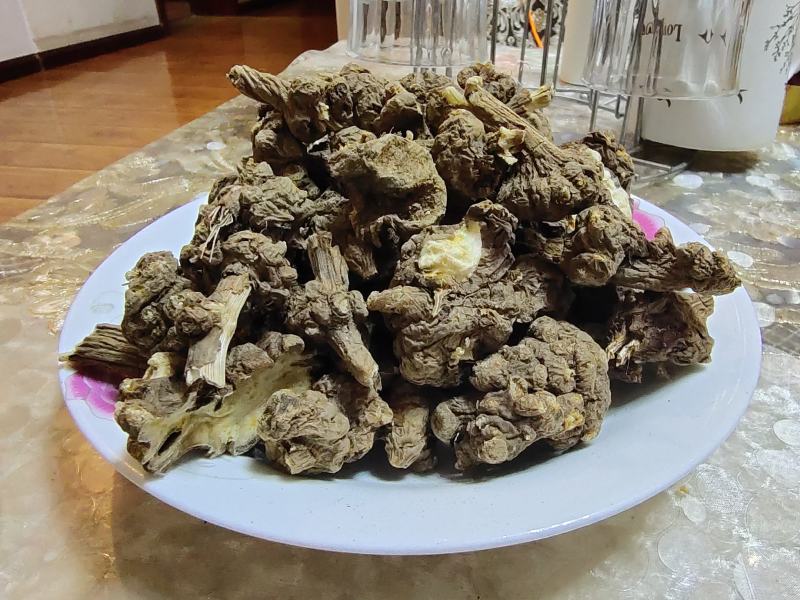 云南省大理州藳本干货