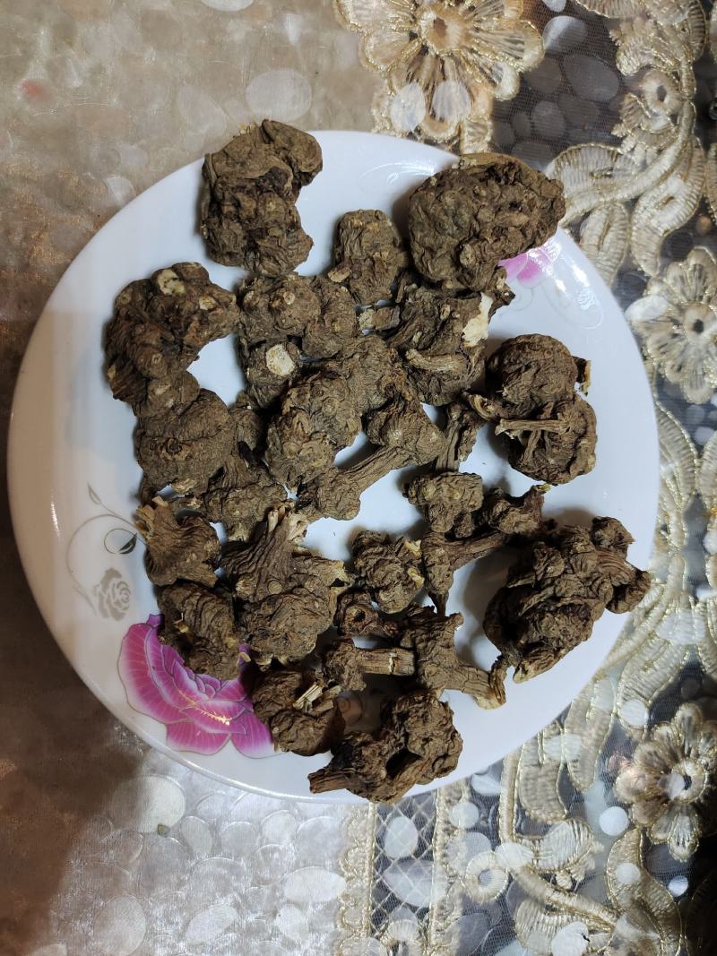 云南省大理州藳本干货