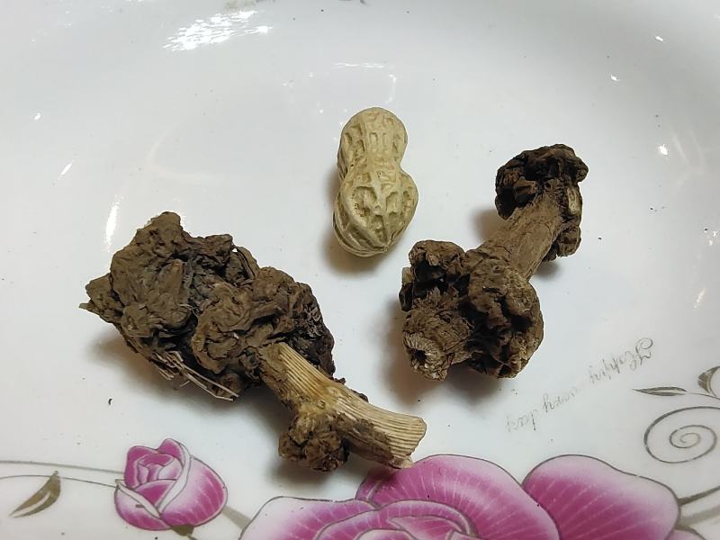 云南省大理州藳本干货