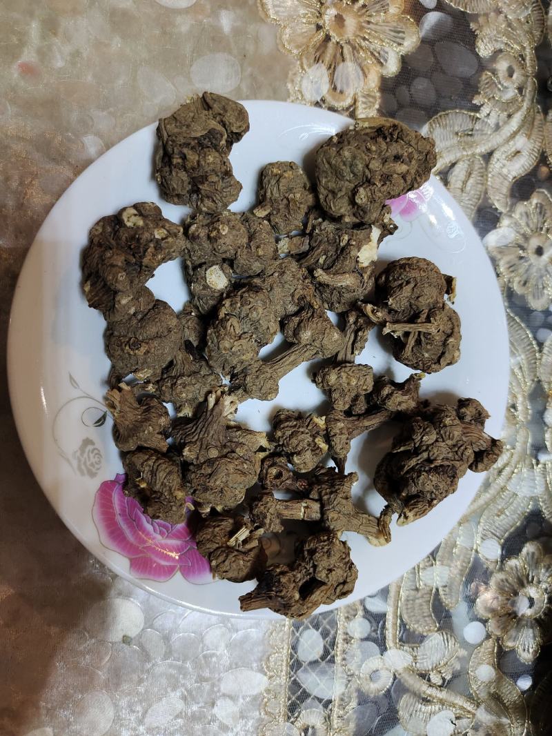 云南省大理州藳本干货