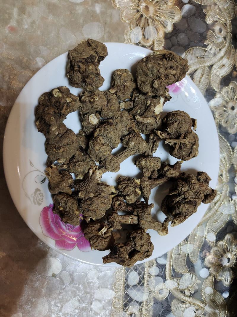 云南省大理州藳本干货