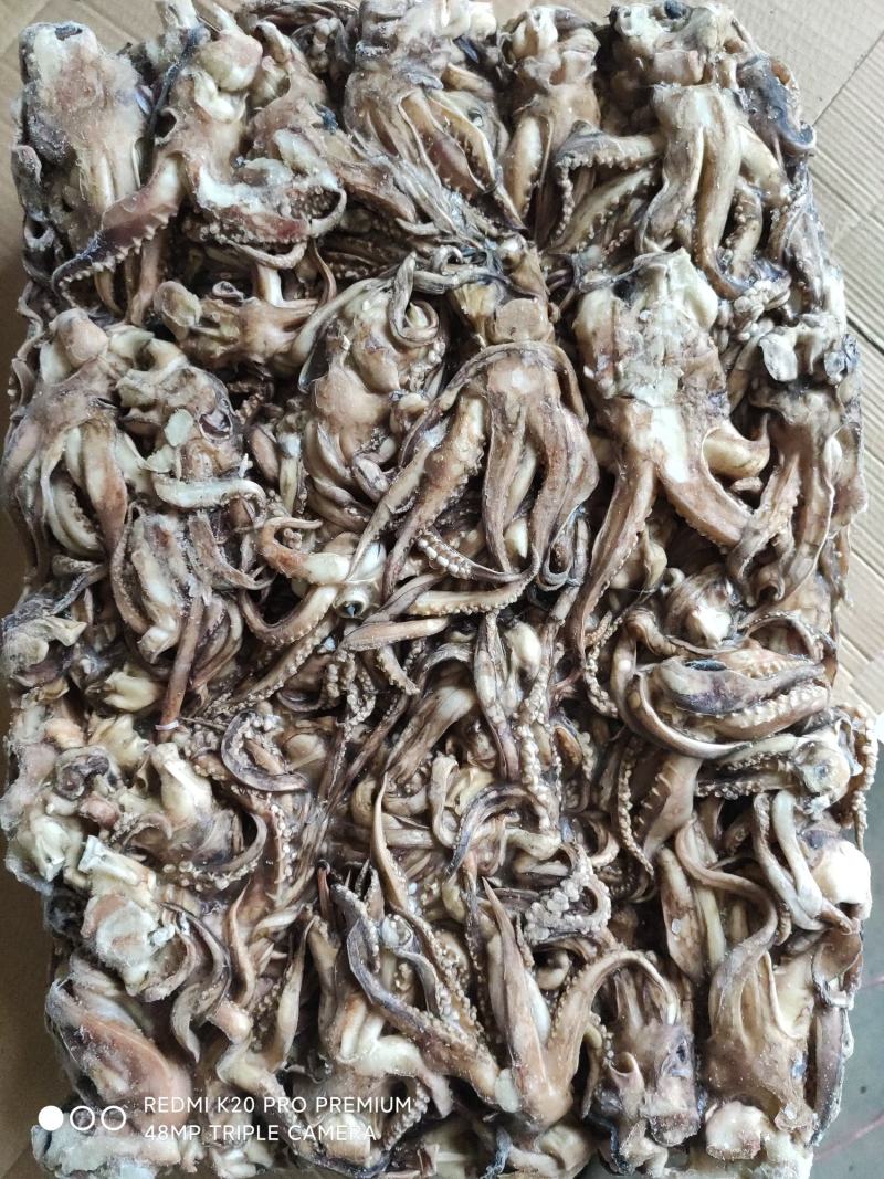 精品水产品北太鱿鱼头，规格齐全物美价廉量足，欢迎电话联系