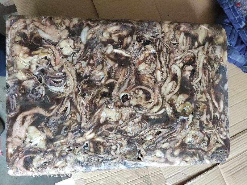 精品水产品北太鱿鱼头，规格齐全物美价廉量足，欢迎电话联系
