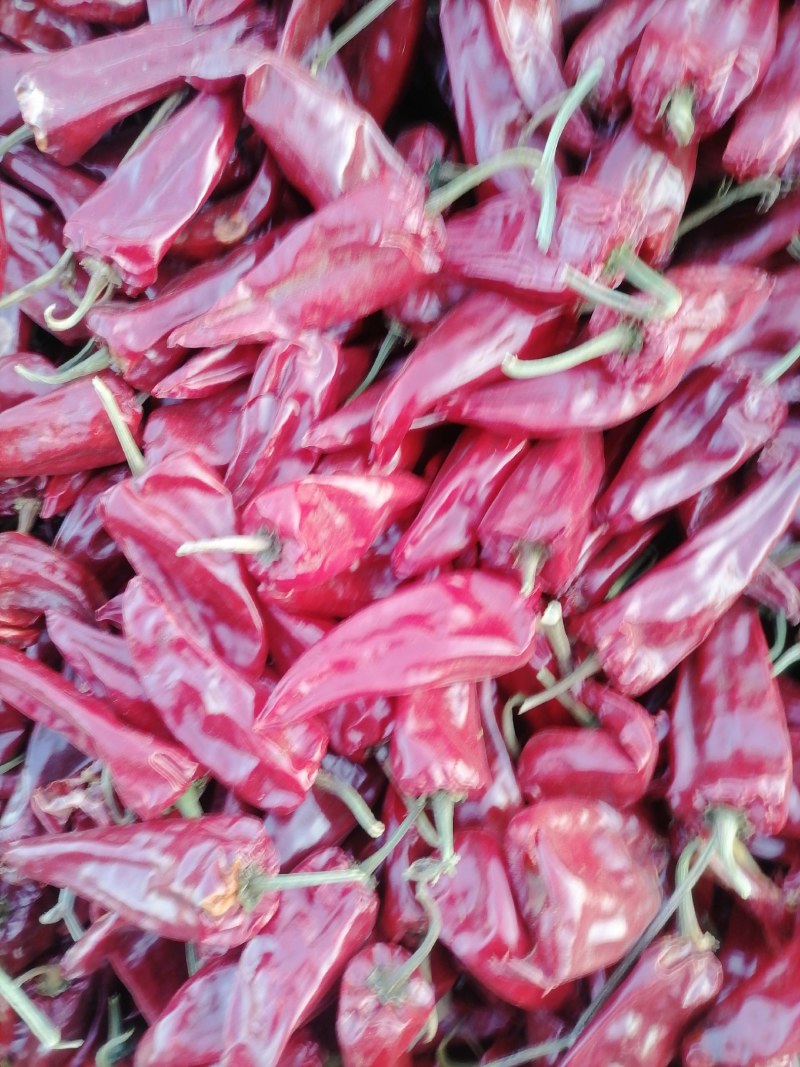内蒙北京红干辣椒，花皮大量上市