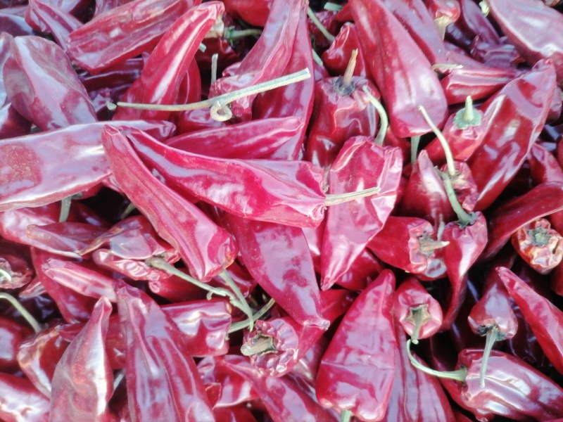 内蒙北京红干辣椒，花皮大量上市